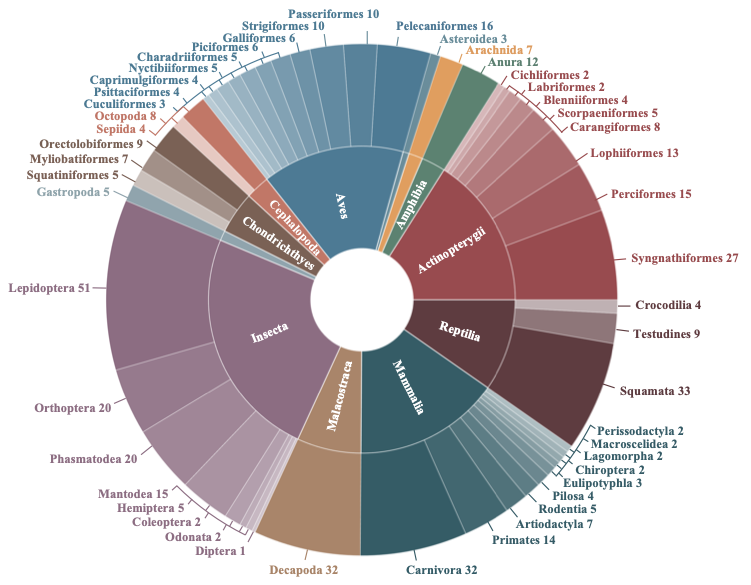 Figure 4 dataset feature visualization