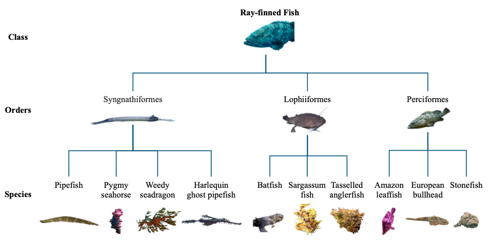 Figure 5 dataset feature visualization