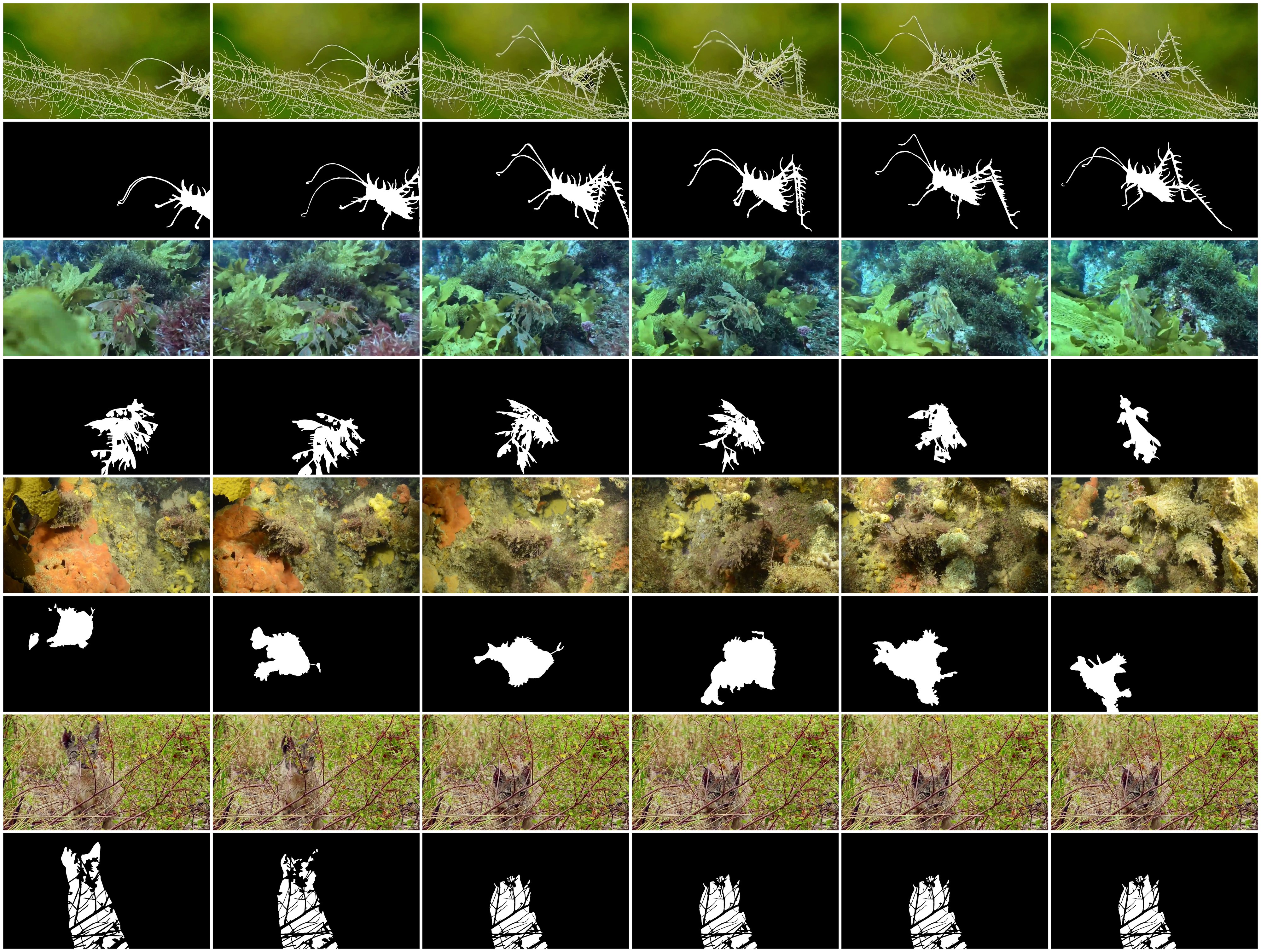 CAMotion benchmark teaser figure